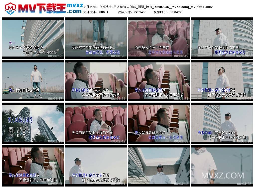 飞鹰先生-男人就该去闯荡_国语_流行_YE600956
